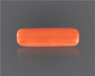 Natural Coral  6.26RTS-27634